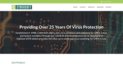 Desktop Screenshot of cybersoft.com